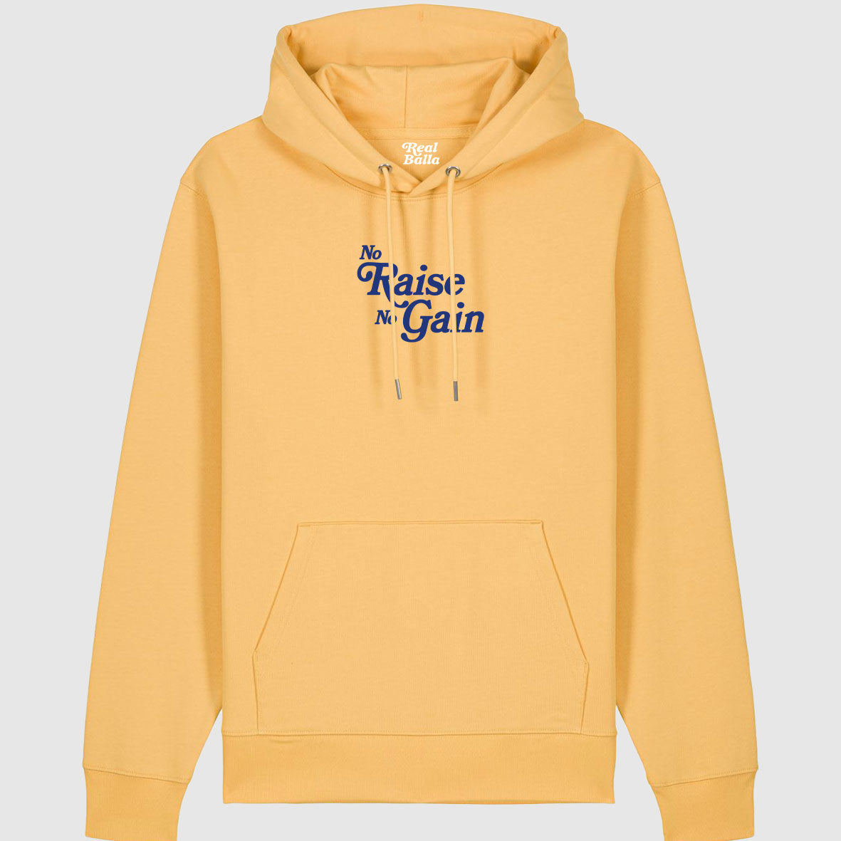 Hoodie No Raise No Gain