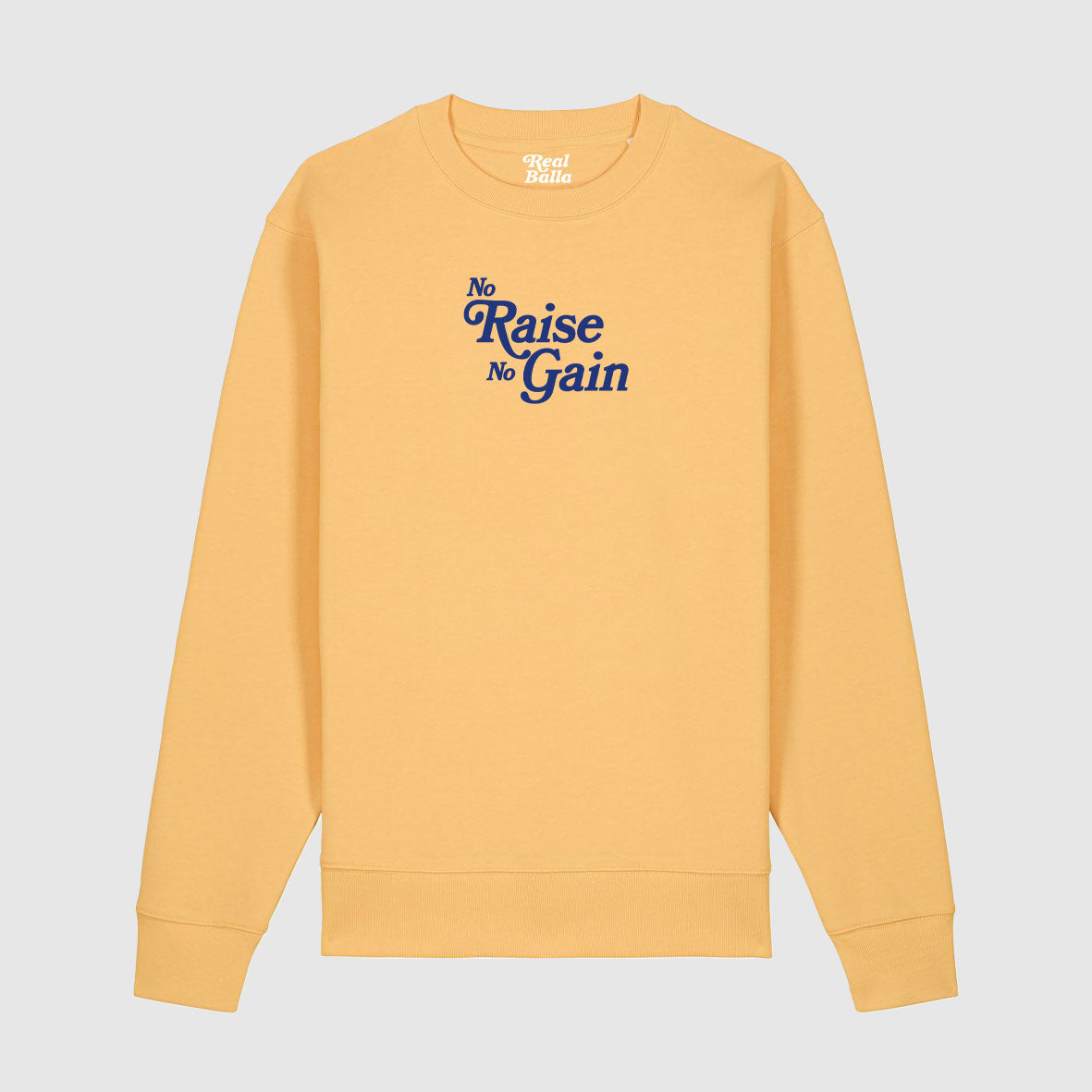 Sweat No Raise No Gain